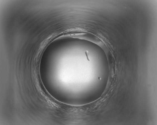 X0000078280193200611101142