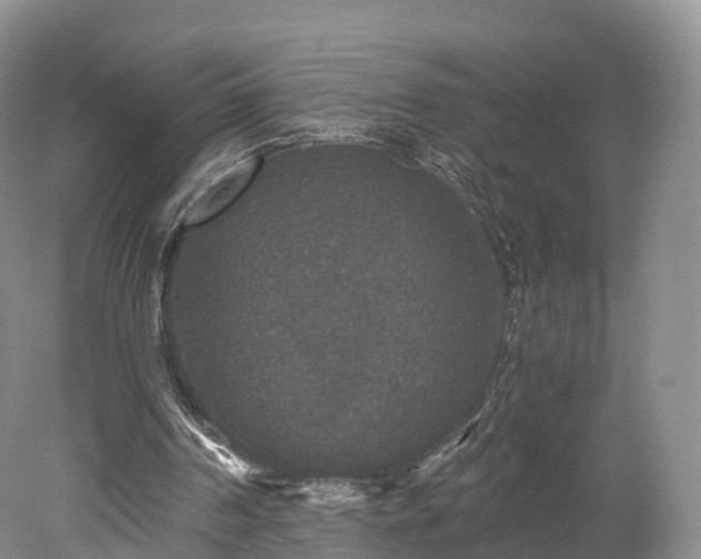 X0000078280194200611101142