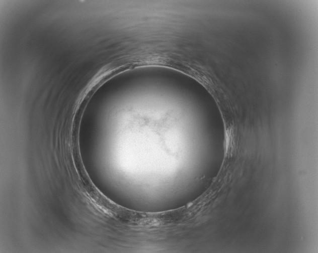 X0000078280195200611101142