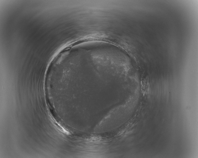 X0000078280196200611101142