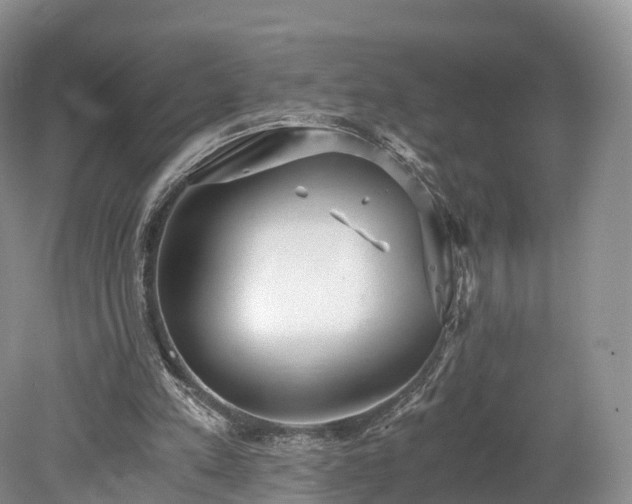 X0000078280197200611101142