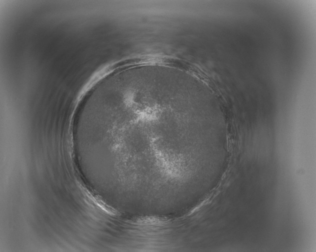 X0000078280198200611101142