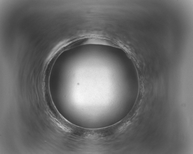 X0000078280199200611101142