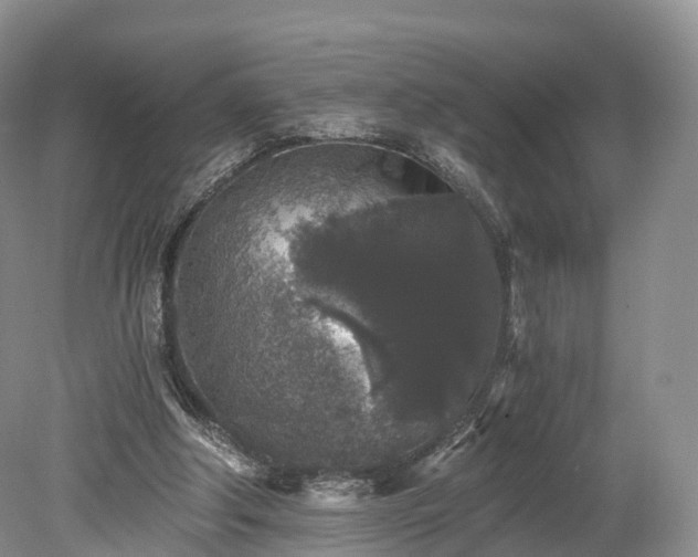 X0000078280202200611101142