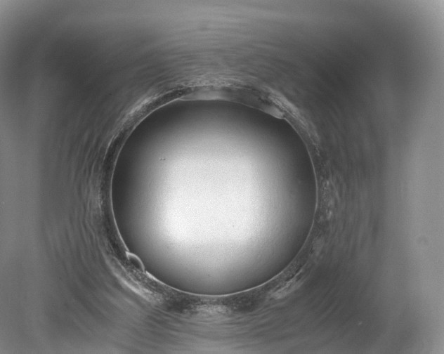 X0000078280203200611101142