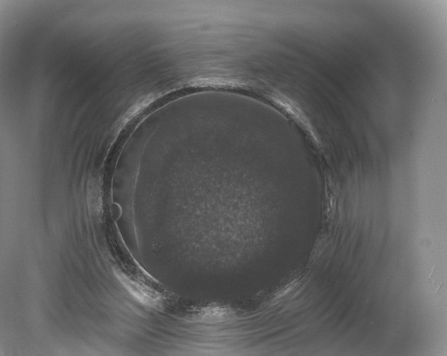 X0000078280204200611101142