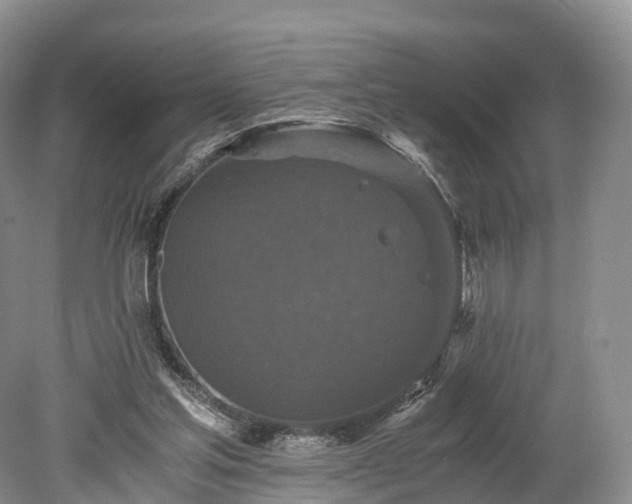 X0000078280205200611101142