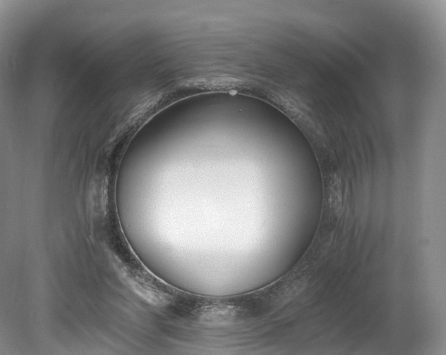 X0000078280206200611101142