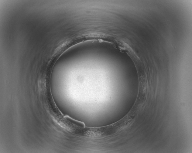 X0000078280207200611101142