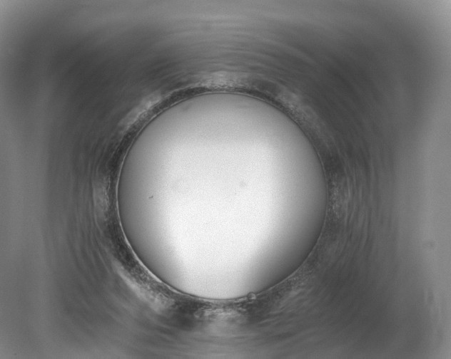 X0000078280208200611101142