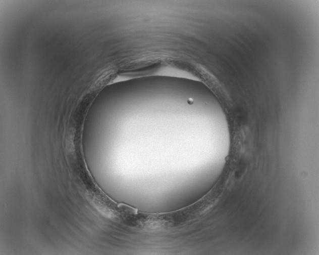 X0000078280209200611101142