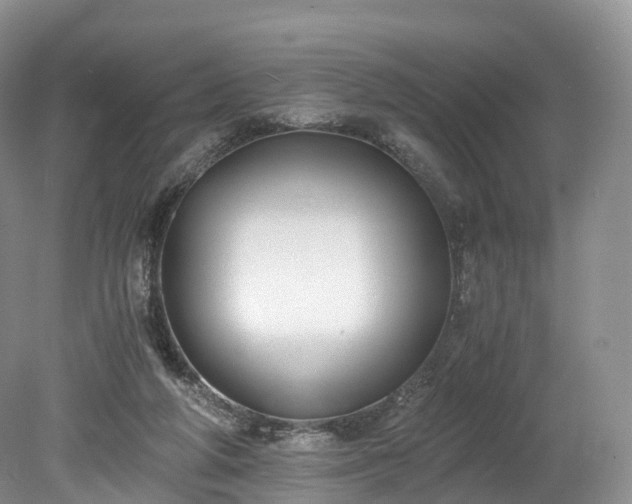 X0000078280210200611101142