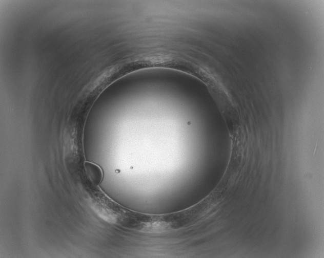 X0000078280212200611101142