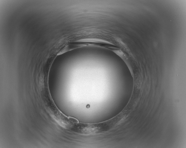 X0000078280213200611101142