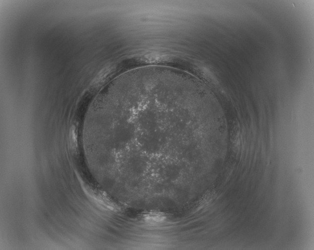 X0000078280214200611101142