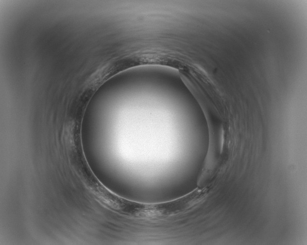 X0000078280217200611101142