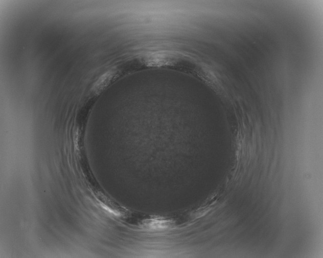 X0000078280219200611101142