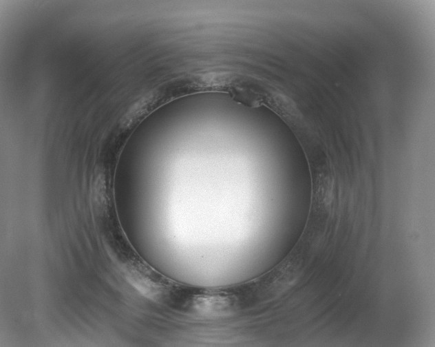 X0000078280220200611101142