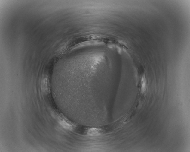 X0000078280222200611101142