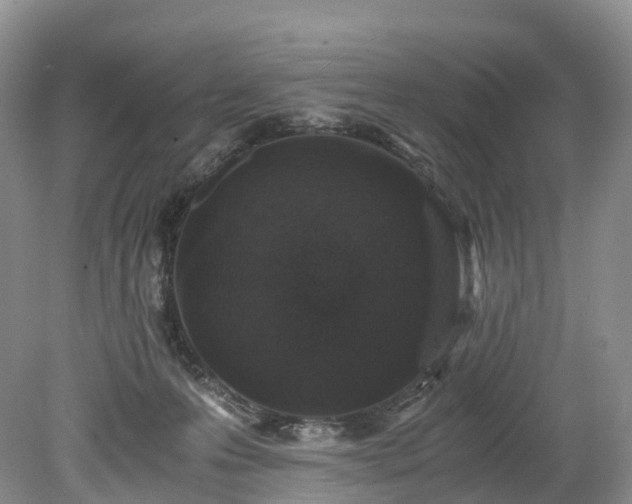 X0000078280223200611101142