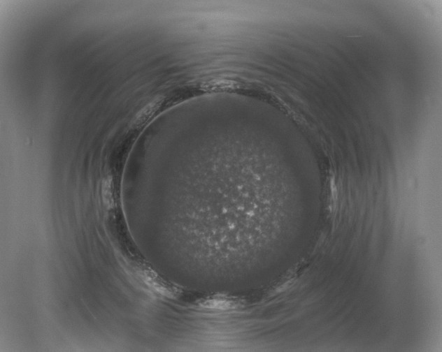 X0000078280224200611101142