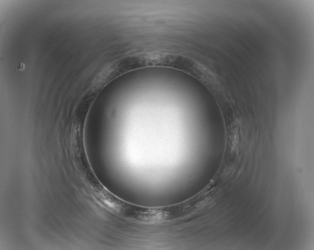 X0000078280225200611101142