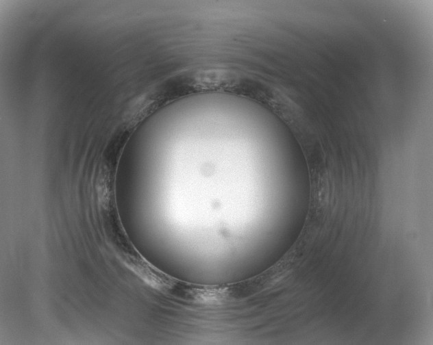 X0000078280226200611101142