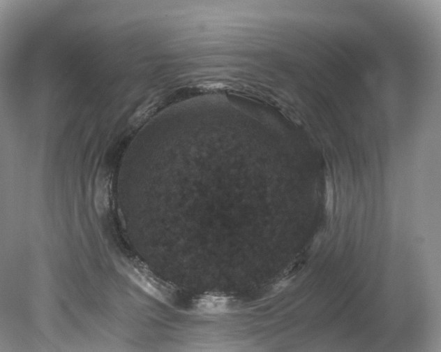 X0000078280227200611101142