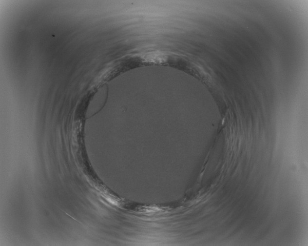 X0000078280229200611101142