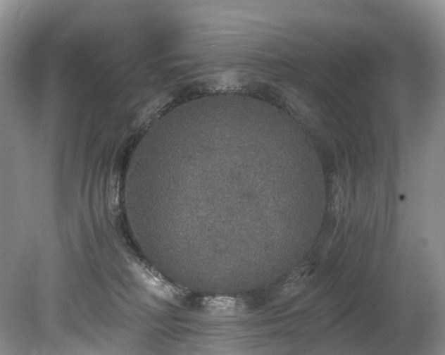 X0000078280230200611101142