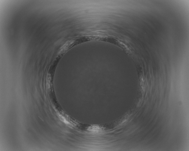 X0000078280231200611101142