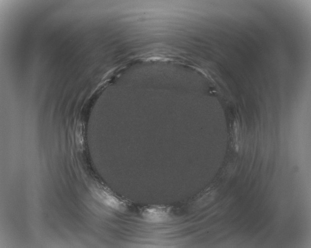 X0000078280232200611101142