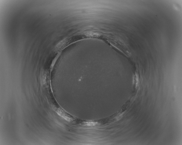 X0000078280233200611101142