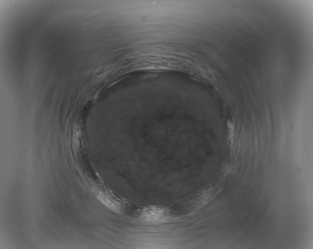 X0000078280235200611101141