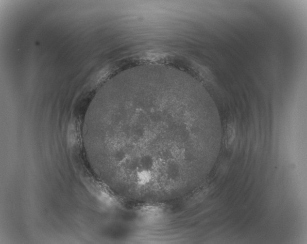 X0000078280236200611101141