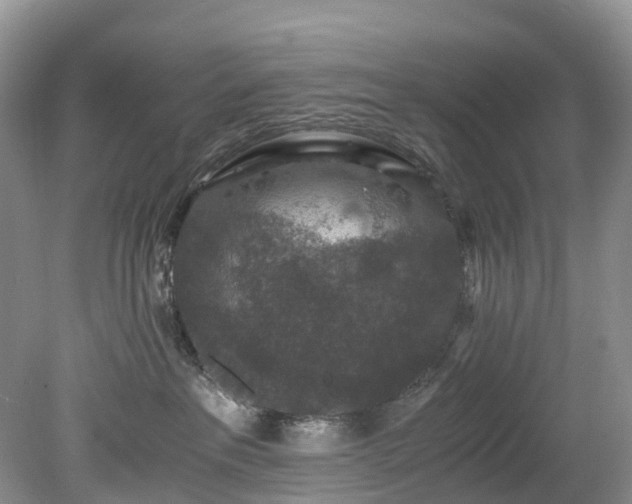 X0000078280237200611101141