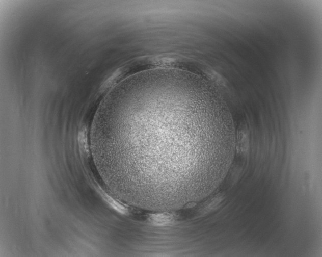 X0000078280238200611101141