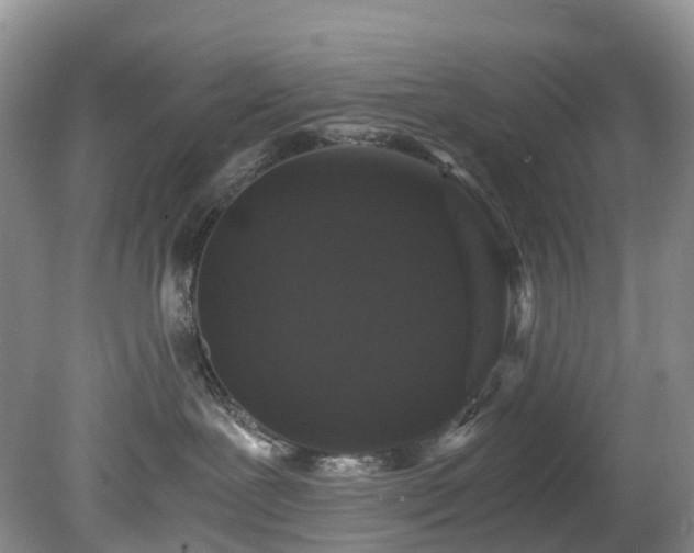 X0000078280239200611101141