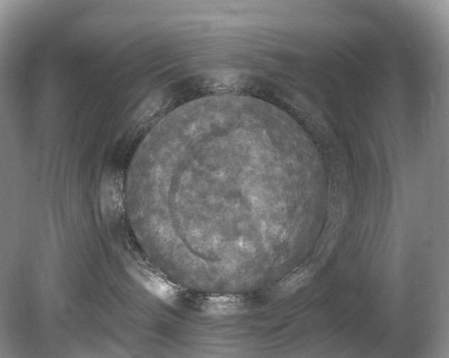 X0000078280240200611101141