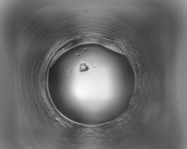 X0000078280241200611101141