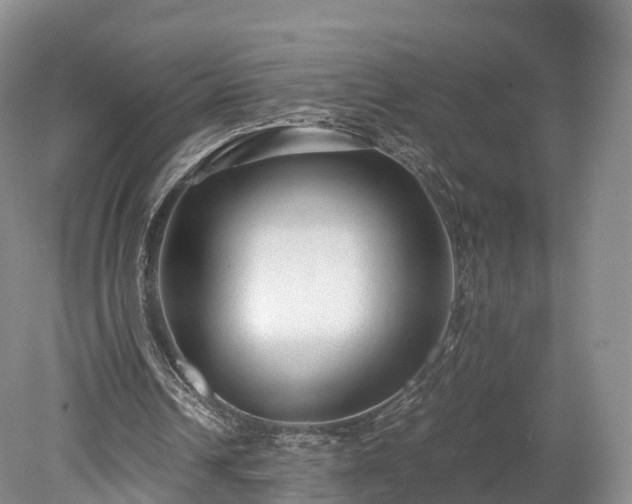 X0000078280242200611101141