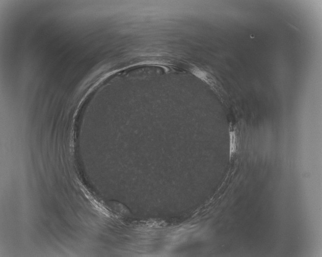 X0000078280243200611101141