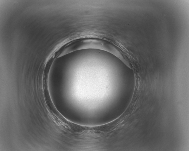 X0000078280244200611101141