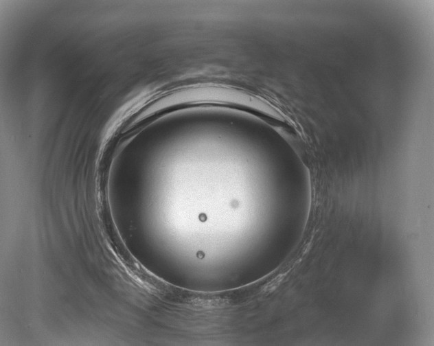 X0000078280245200611101141