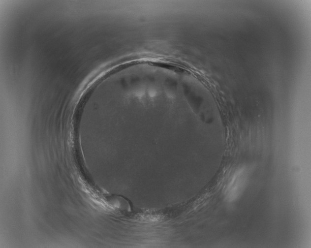 X0000078280247200611101141