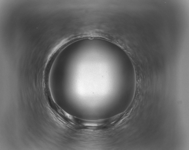 X0000078280248200611101141