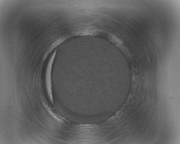 X0000078280250200611101141