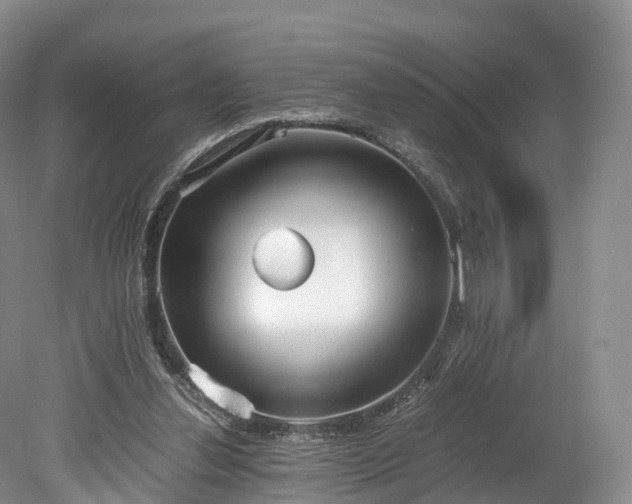 X0000078280252200611101141