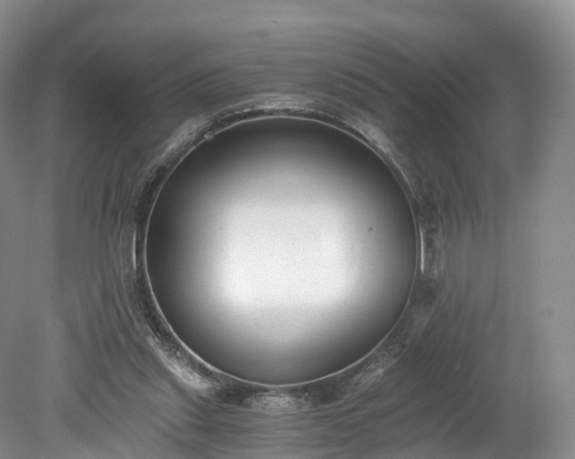 X0000078280253200611101141