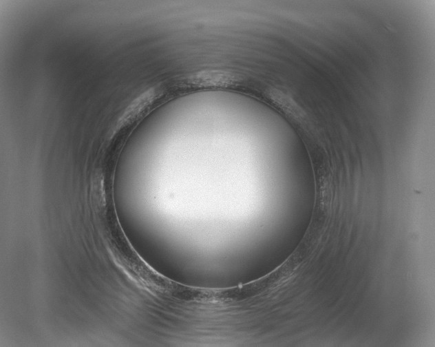 X0000078280254200611101141